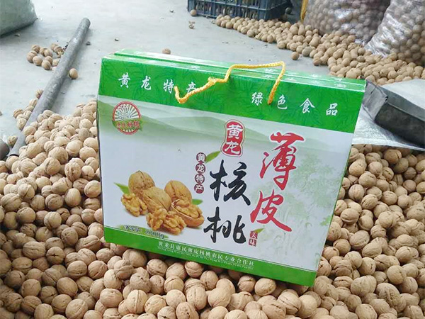 黄龙薄皮核桃